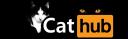 Discovery splash banner for Cats Hub Discord server