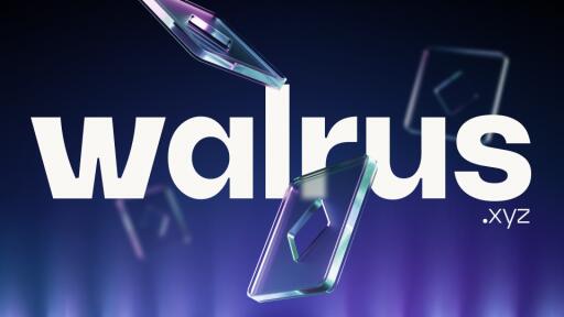 Walrus Discord server icon