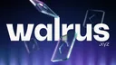 Walrus icon