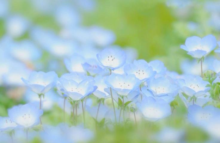 Discovery splash banner for Horae House Discord server