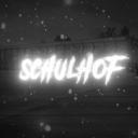 Discovery splash banner for Schulhof Discord server