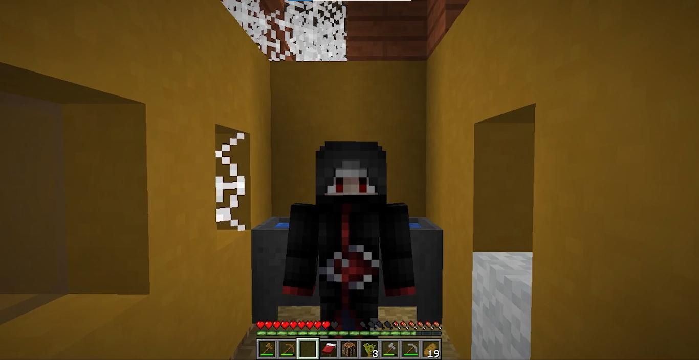 Discovery splash banner for InSane SMP Discord server