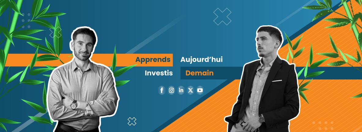 Discovery splash banner for BambooFin Discord server