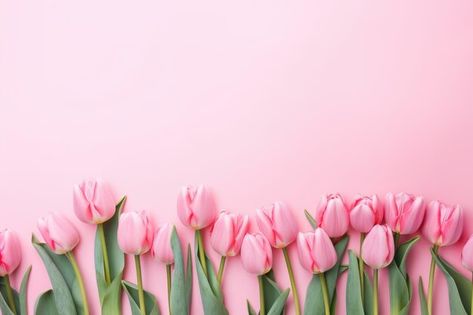 Discovery splash banner for El Reino de Safi .*🌸 || VTT Discord server