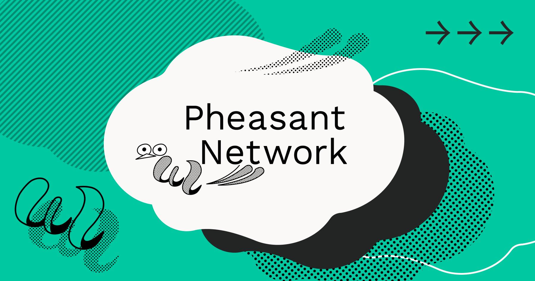 Discovery splash banner for Pheasant Network Discord server