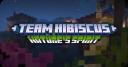 Discovery splash banner for Team Hibiscus Discord server