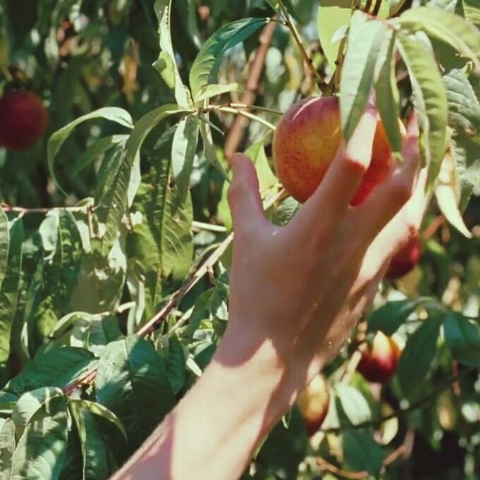 Discovery splash banner for ⟢ @ gg ノcmbyn Discord server