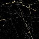 Discovery splash banner for The Gym Community Discord server