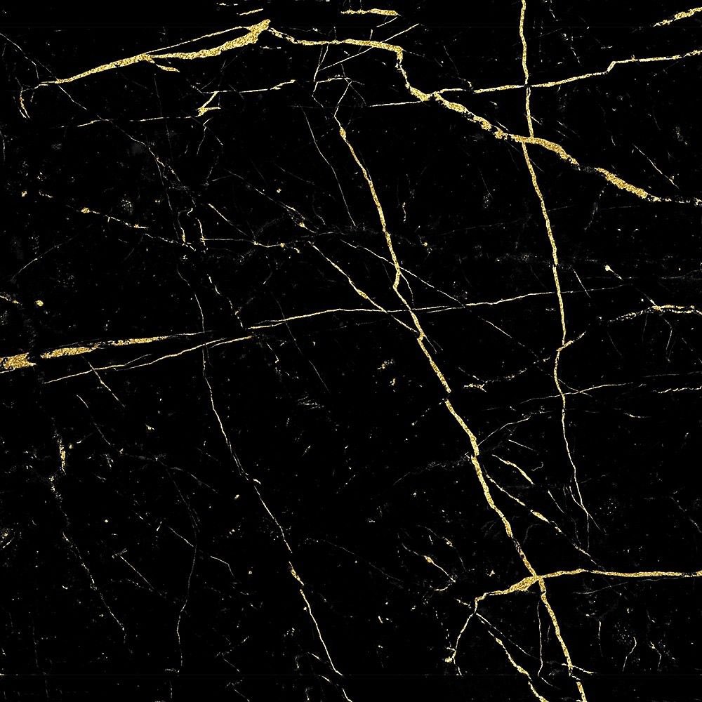 Discovery splash banner for The Gym Community Discord server