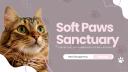 Discovery splash banner for Soft Paws Sanctuary 🐾 Discord server