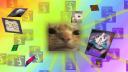 Discovery splash banner for Cat Stand Discord server