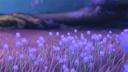 Discovery splash banner for • lovelies • Discord server