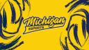 Discovery splash banner for Michigan Esports Discord server