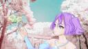 Discovery splash banner for Cindocu Discord server