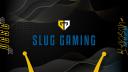 Discovery splash banner for Slug Gaming Discord server