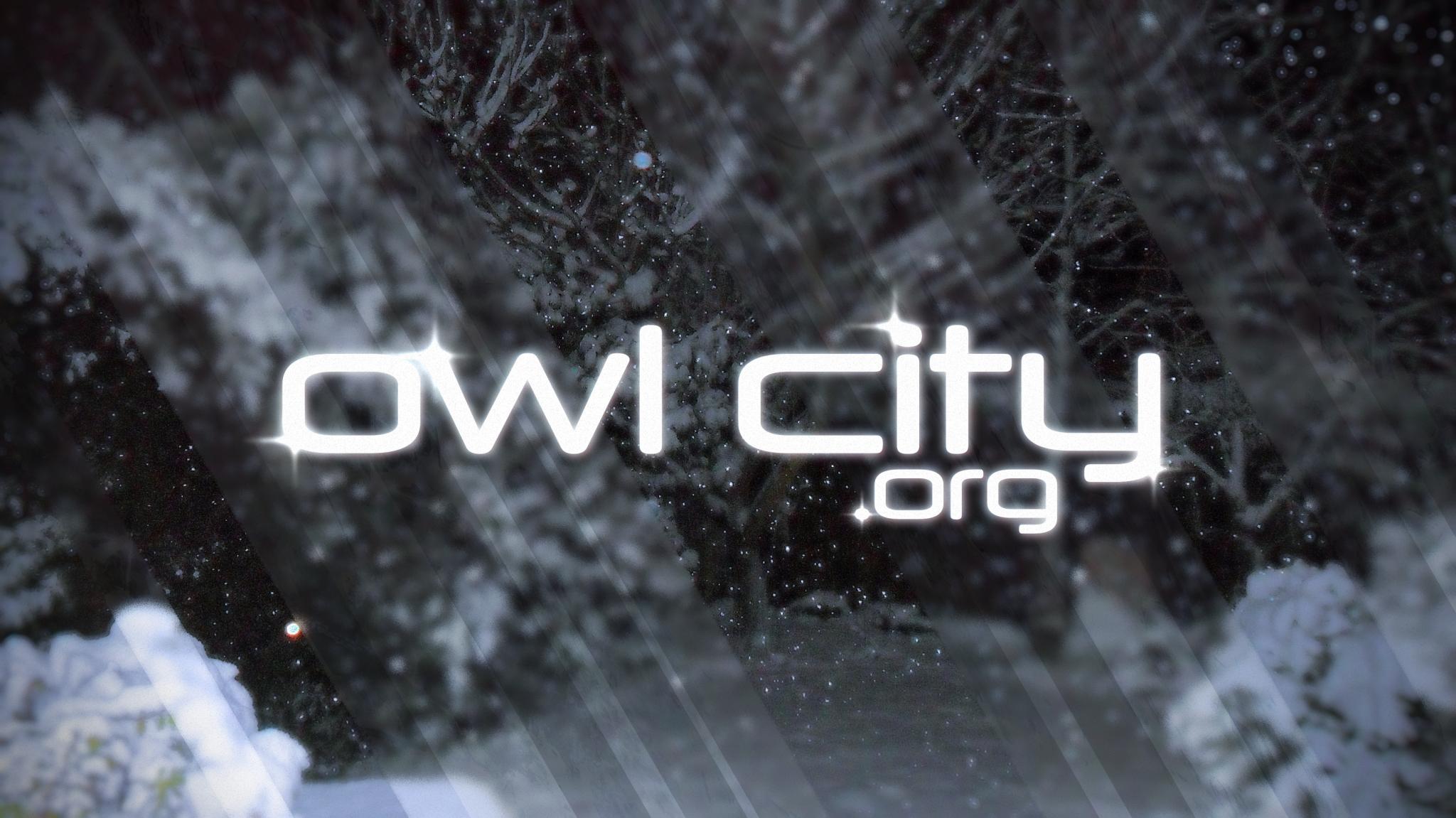 Discovery splash banner for Owl City Discord server