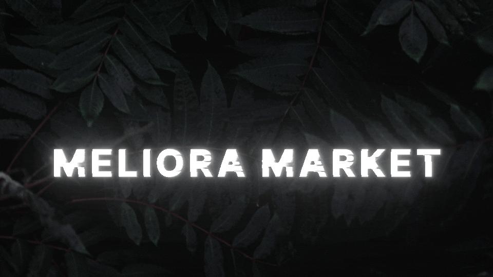 Discovery splash banner for Meliora Market Discord server