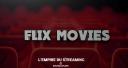 Discovery splash banner for Flix Movies Discord server