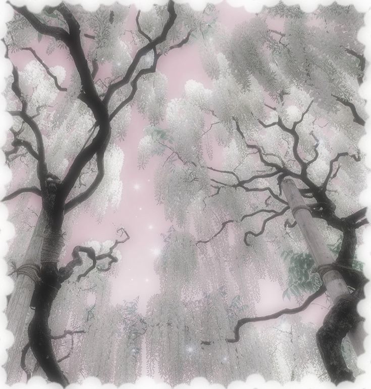 Discovery splash banner for kpop media || SKZ guild tag Discord server