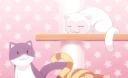 Discovery splash banner for Innocent ୨୧ ask2dm﹒gw﹒scl Discord server