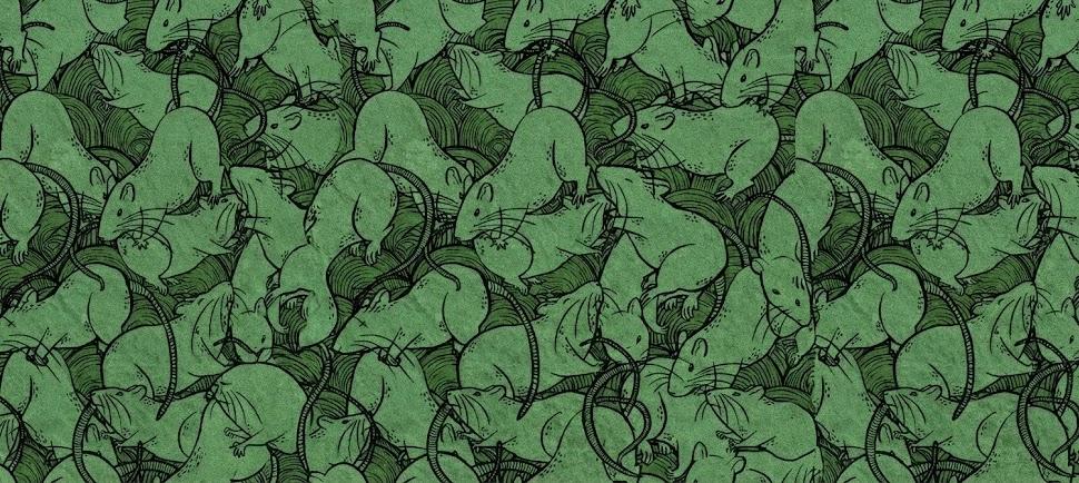 Discovery splash banner for /pol Discord server