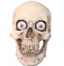 hdskull Discord Emoji