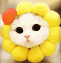 sunflowercattie Discord emoji