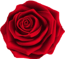 red_rose Discord emoji