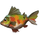 paintedperch