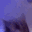 AR_1615catdance Discord Emoji