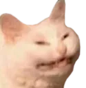 catkittyew2 Discord Emoji