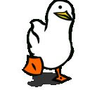 Obaid_FavDuck