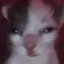 emoji_13