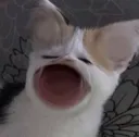 waaaaaa waaaaaa