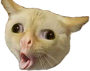 emoji_114 Discord emoji