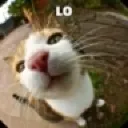 lo