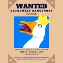 GooseWanted
