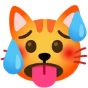 il_gatto_caldo il_gatto_caldo