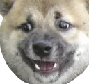 46