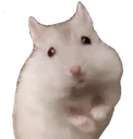 TeenyTiny