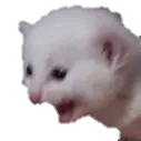 cet_scream cet_scream