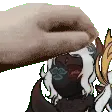 petkrillkid