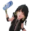 RoverFlipFlop