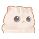 cat3_stare