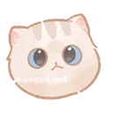 cat3_stare
