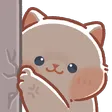 cat2_hiding