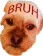 9604bruhdog