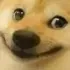 smirk_dog