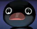 nootnoot