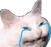 crycat